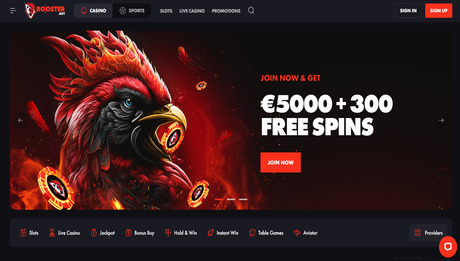 Rooster Bet casino